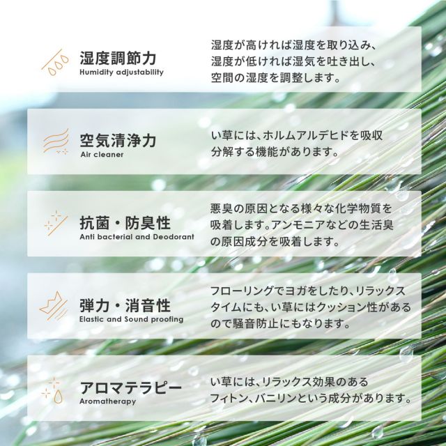 スーパSALE10倍＆4時間限定10％OFF 収納簡単 い草ふっくらラグ キハチ 240×240cm
