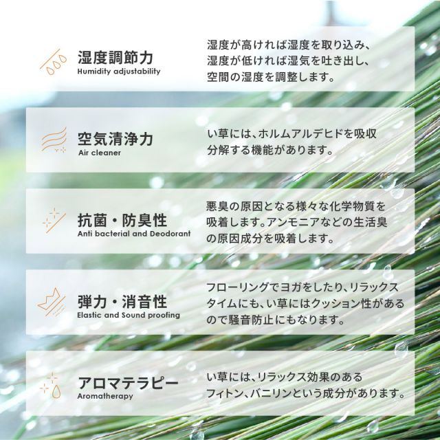 スーパSALE10倍＆4時間限定10％OFF 収納簡単 い草ふっくらラグ クレパス 180×180cm