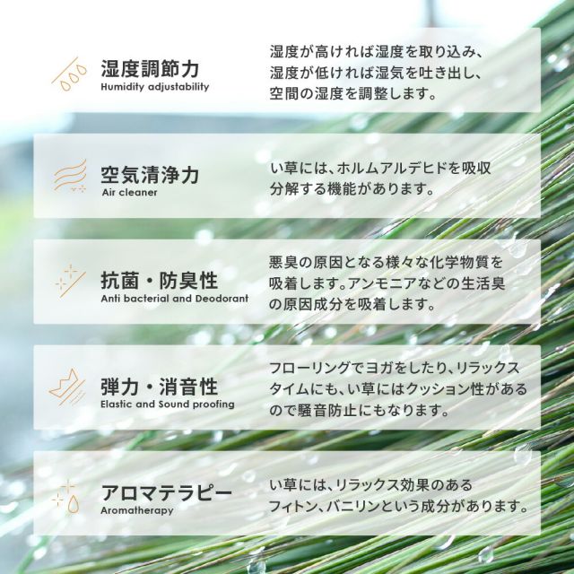 スーパSALE10倍＆4時間限定10％OFF 収納簡単 い草ふっくらラグ 仙名 180×240cm