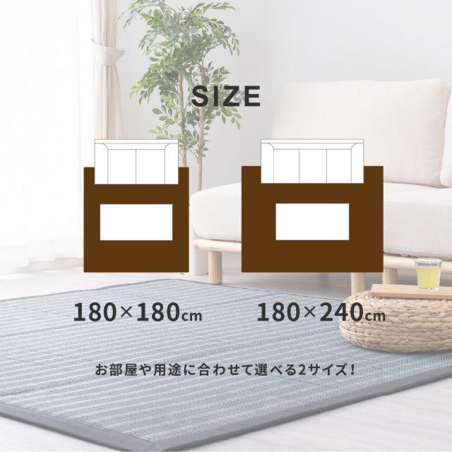 スーパSALE10倍＆4時間限定10％OFF 収納簡単 い草ふっくらラグ 仙名 180×240cm