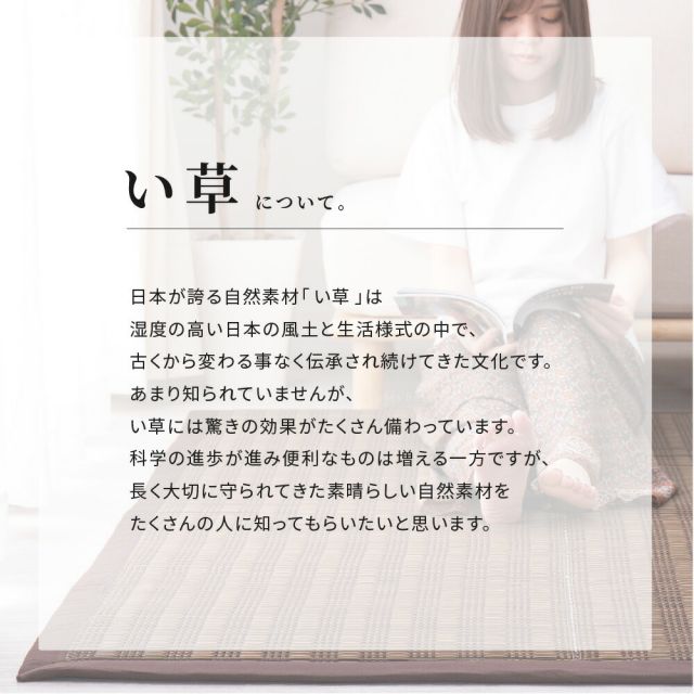 スーパSALE10倍＆4時間限定10％OFF 収納簡単 い草ふっくらラグ 仙名 180×240cm
