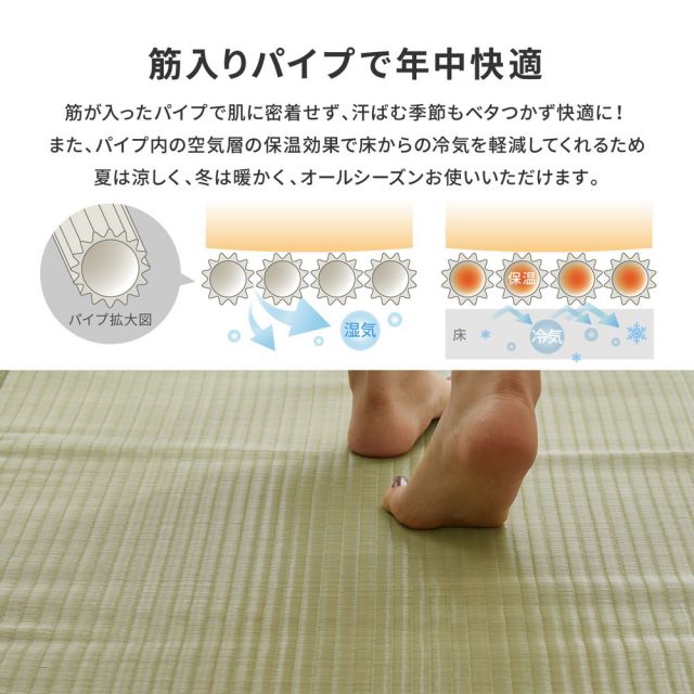 スーパSALE10倍＆4時間限定10％OFF 洗えるい草カーペット 四条(しじょう) 江戸間 10畳（352×440）