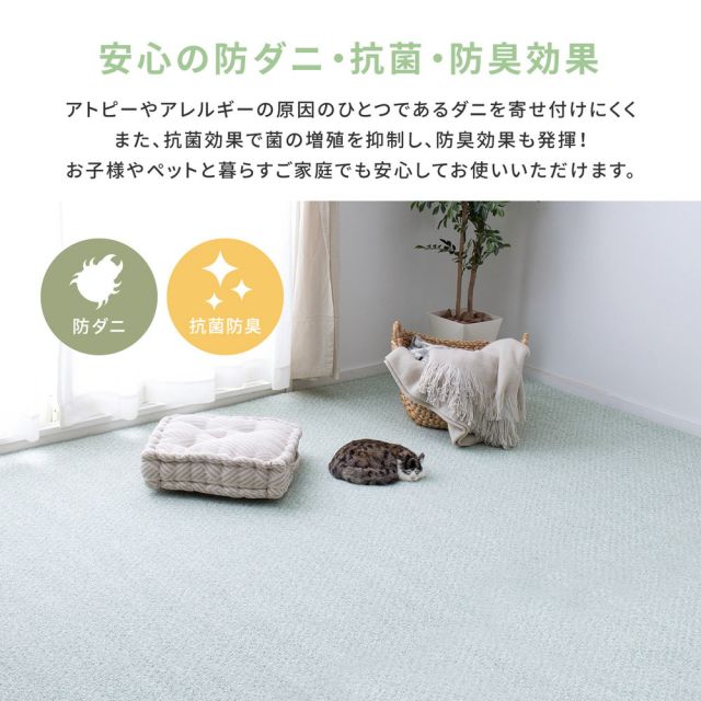 スーパSALE10倍＆4時間限定10％OFF 防炎・撥水付き国産高機能カーペット 江戸間 4.5帖（261×261）