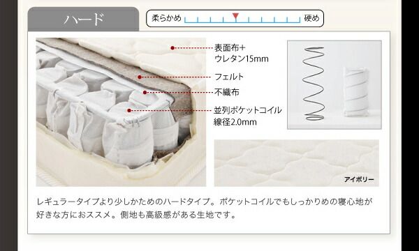 スーパSALE10倍＆4時間限定10％OFF 照明・コンセント付きフロアベッド フレームのみ ダブル 組立設置付