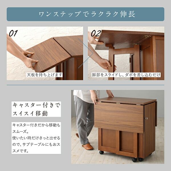 スーパSALE10倍＆4時間限定10％OFF ダイニングチェア ガーデンファニチャーダイニング 収納庫付き両側バタフライ天板コンパクト伸縮ダイニングシリーズ ダイニングチェア 1脚 組立設置付