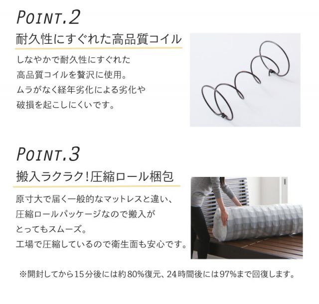 スーパSALE10倍＆4時間限定10％OFF 収納ベッド ベッド ベッドフレーム ベット  定番 人気カラー マットレスセット ポケットコイル 収納 コンセント付き 収納付き グレージュ シャビー ホワイト  セミダブルベッド 組立設置付
