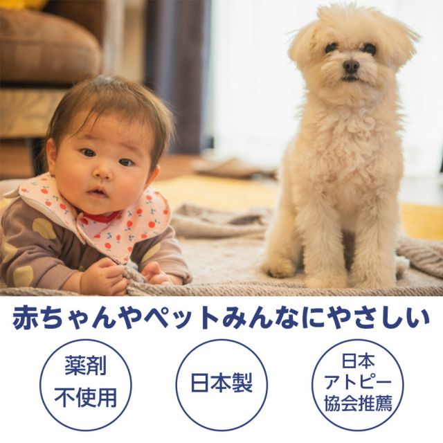 24時間限定 5％OFF&10倍  お買い得4枚セット 送料無料日本製 置くだけ簡単 ダニ捕り シート 4枚セット 日本アトピー協会推薦 ツメダニ 日用品雑貨・文房具・手芸 日用消耗品 虫除け・殺虫剤 捕獲・誘引器