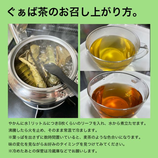 ぐぁば茶 60g グァバ茶100％ 屋久島産 シジュウム茶 シジウム茶 日本製 グアバ ガァバ茶 ガバ茶