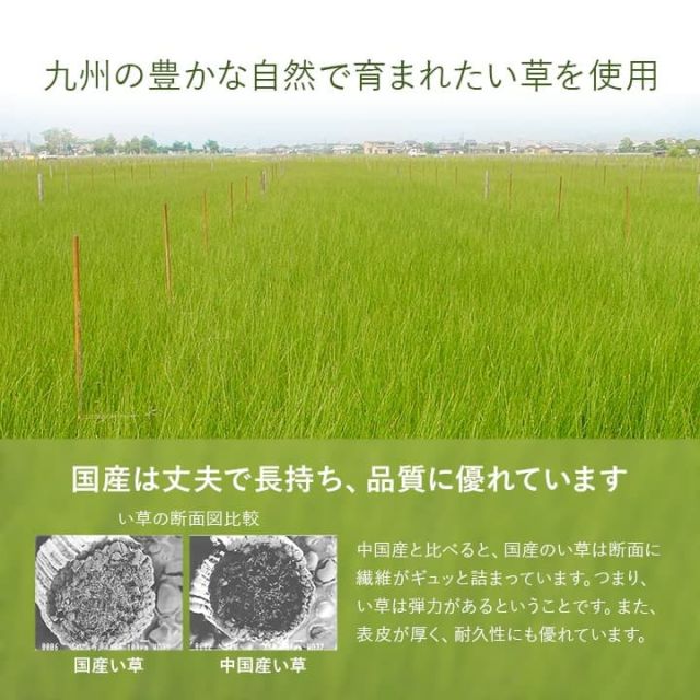 置き畳 半畳 国産 い草 簡単 和室 約82×82cm 2枚組