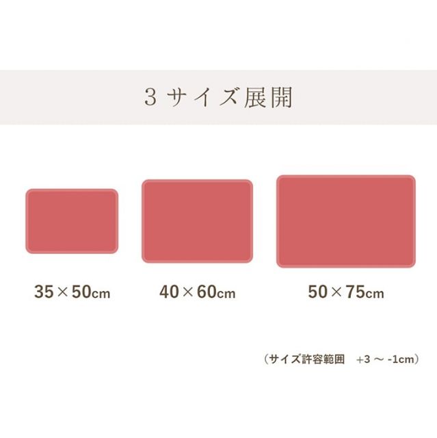 バスマット 速乾 吸水性抜群 タオル地風 さらっと 約40×60cm