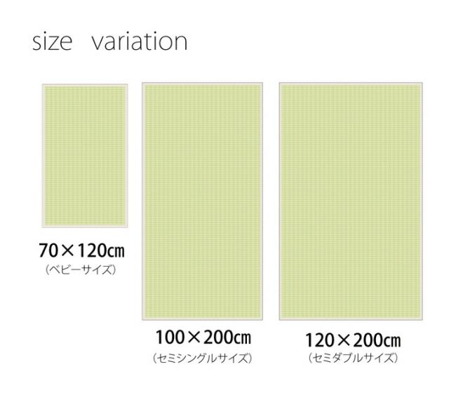 スーパSALE10倍＆4時間限定10％OFF 医師との共同開発 い草寝具 『アスク 汗取P』 シングル 約100×200cm