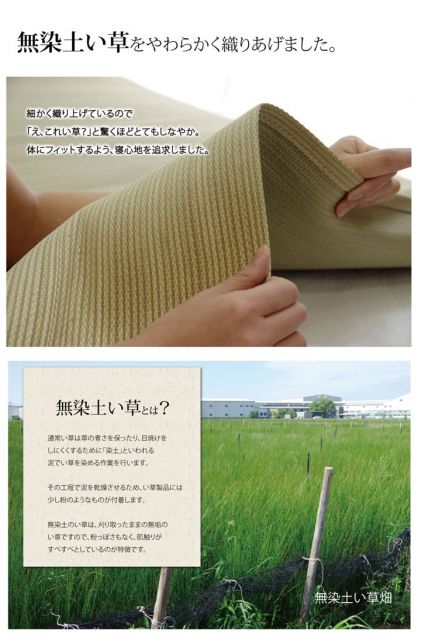 スーパSALE10倍＆4時間限定10％OFF 医師との共同開発 い草寝具 『アスク 汗取P』 セミダブル 約120×200cm