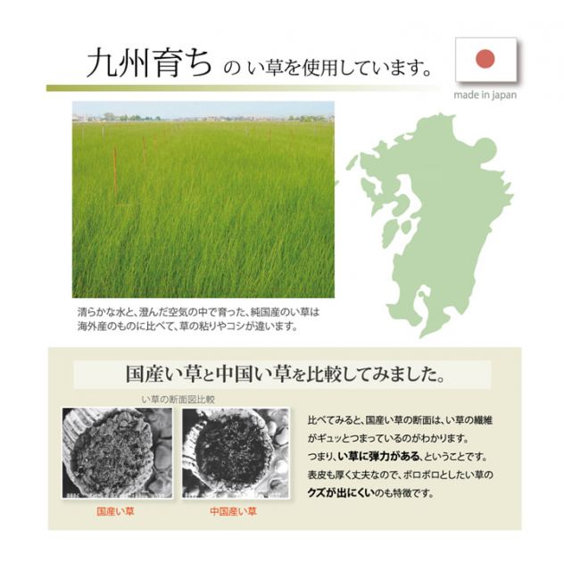 スーパSALE10倍＆4時間限定10％OFF 医師との共同開発 い草寝具 『アスク 汗取P』 セミダブル 約120×200cm