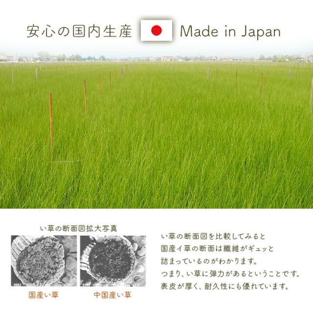 スーパSALE10倍＆4時間限定10％OFF 寝具 マットレス ベビーマット い草 医師との共同開発 吸湿 調湿効果 抗菌防臭 70×120cm