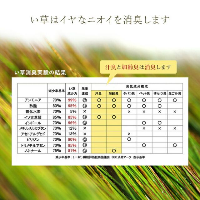 スーパSALE10倍＆4時間限定10％OFF 寝具 枕 平枕 い草 い草チップ 医師との共同開発 吸湿 調湿効果 抗菌防臭 50×30cm