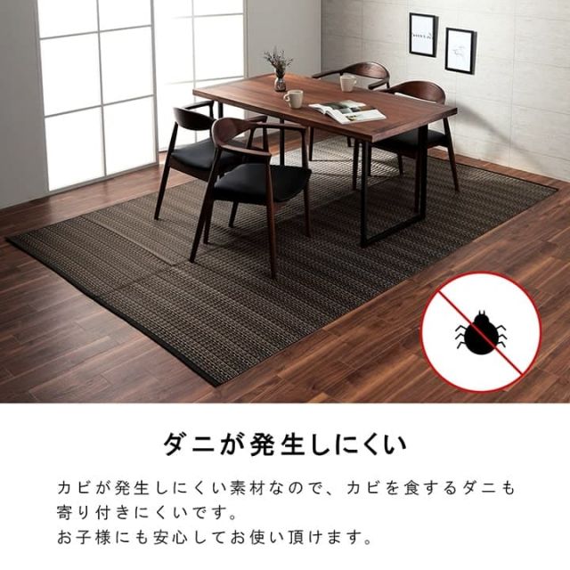 洗える カーペット ダイニング ラグ 敷詰 丈夫 日本製 国産 除菌スプレー対応 アウトドア ペット 本間4.5畳（約286.5×286cm）