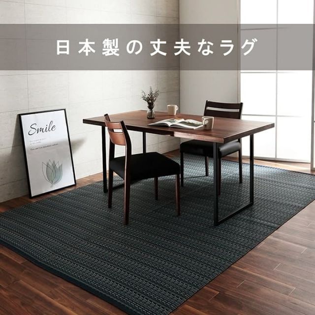 洗える カーペット ダイニング ラグ 敷詰 丈夫 日本製 国産 除菌スプレー対応 アウトドア ペット 本間6畳（約286.5×382cm）