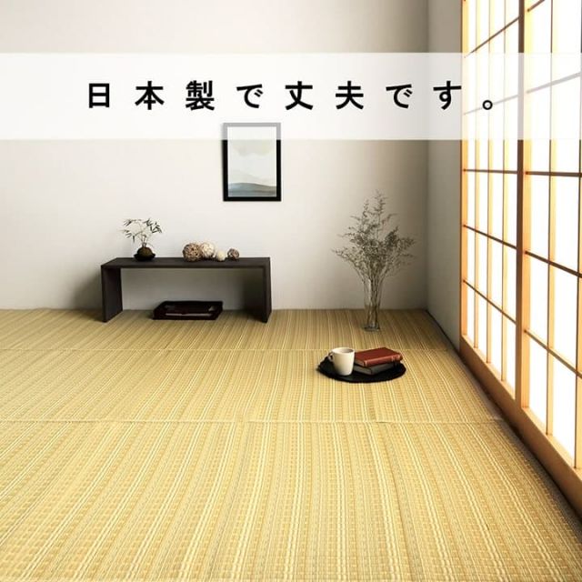 洗える カーペット ダイニング ラグ 敷詰 丈夫 日本製 国産 除菌スプレー対応 ござ アウトドア ペット 団地間1畳（約85×170cm）