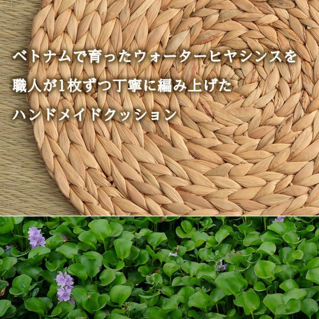 クッション ウォーターヒヤシンス 天然素材 丸型 円形 40丸cm