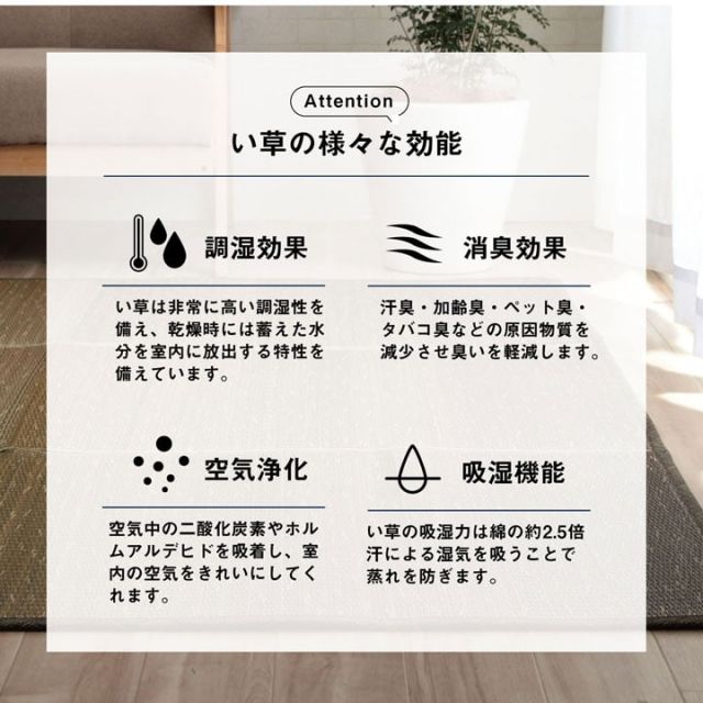 ラグ 小林製薬 持続性抗菌剤 KOBA-GUARD 制菌 抗菌防臭  滑り止め ウレタン 不織布 夏 い草 グラデーション 約190×250cm
