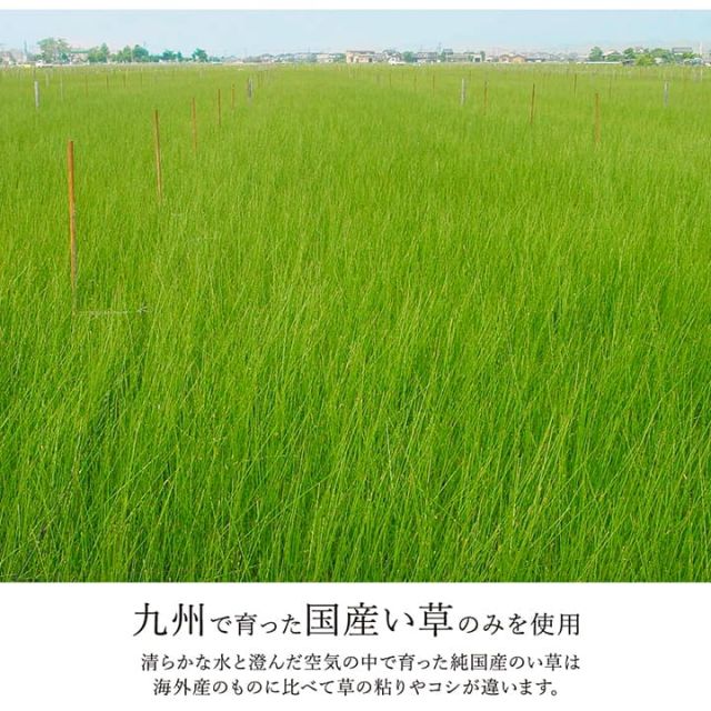 スーパSALE10倍＆4時間限定10％OFF ラグ い草 ヴィンテージ 純国産 国産 日本製 ウレタン 抗菌防臭 自然素材 約191×191cm