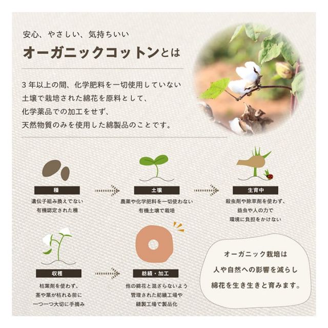 スーパSALE10倍＆4時間限定10％OFF クッション 円形 円座 穴あき 日本製 オーガニックコットン 綿100% 無地 洗える 約35cm丸