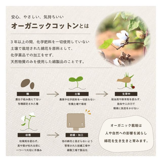 スーパSALE10倍＆4時間限定10％OFF 車用クッション カークッション 軽自動車 クッション オーガニックコットン 無地 シンプル 綿100% 約53×45cm