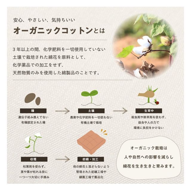 スーパSALE10倍＆4時間限定10％OFF クッション 四角 厚い 持ち運び 日本製 オーガニックコットン 綿100% 無地 洗える 座布団 約40×40cm