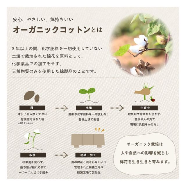 車用クッション カークッション クッション フリーシート オーガニックコットン 日本製 無地 シンプル 綿100% インド綿 約43×118cm
