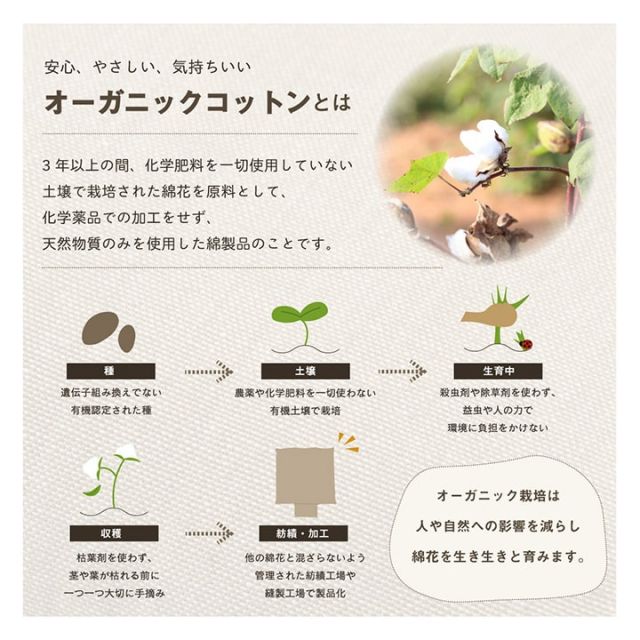 スーパSALE10倍＆4時間限定10％OFF 車用クッション カークッション クッション オーガニックコットン 日本製 無地 シンプル 綿100% 消臭 約43×43cm