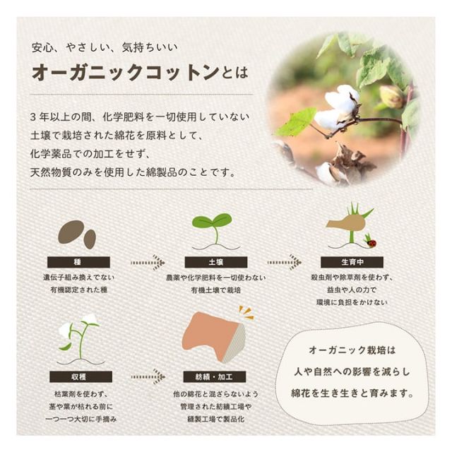スーパSALE10倍＆4時間限定10％OFF クッション 寄りかかり 日本製 オーガニックコットン 綿100% 無地 洗える 背もたれ
