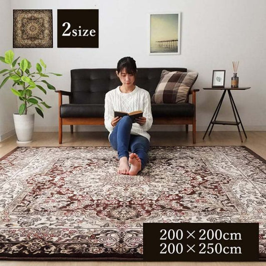 スーパSALE10倍＆4時間限定10％OFF ラグ 正方形 オールシーズン 洗える 軽い コンパクト メダリオン柄 約200×200cm ホットカーペット対応