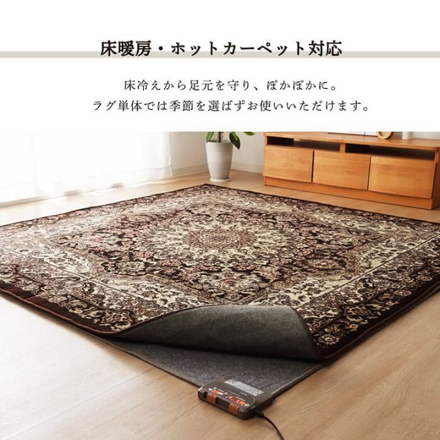 スーパSALE10倍＆4時間限定10％OFF ラグ 正方形 オールシーズン 洗える 軽い コンパクト メダリオン柄 約200×200cm ホットカーペット対応