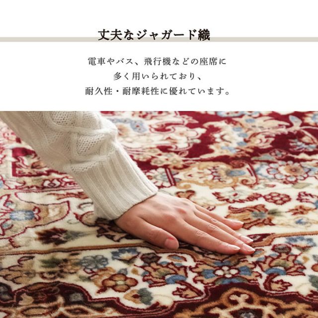 スーパSALE10倍＆4時間限定10％OFF ラグ 長方形 オールシーズン 洗える 軽い コンパクト メダリオン柄 約200×250cm ホットカーペット対応