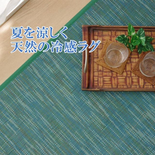 スーパSALE10倍＆4時間限定10％OFF ラグ カーペット 無地 シンプル バンブー 竹 『DXフォース』 約190×190cm