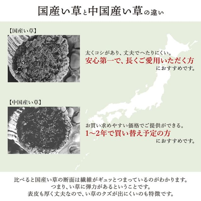 敷物 花ござ 国産 純国産 日本製 い草 掛川織 モダン 抗菌防臭 自然素材 江戸間6畳 約261×352cm