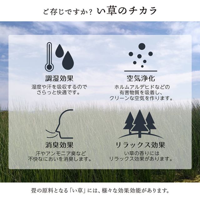 敷物 花ござ 国産 純国産 日本製 い草 掛川織 モダン 抗菌防臭 自然素材 江戸間6畳 約261×352cm