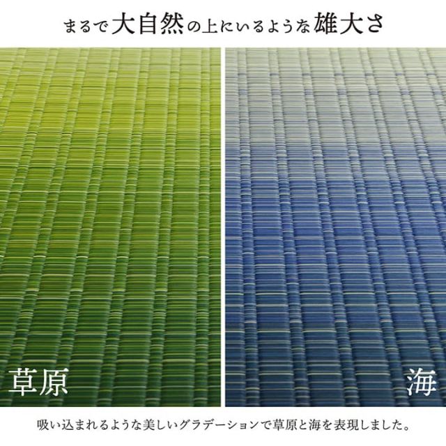 敷物 花ござ 国産 純国産 日本製 い草 掛川織 モダン 抗菌防臭 自然素材 江戸間6畳 約261×352cm