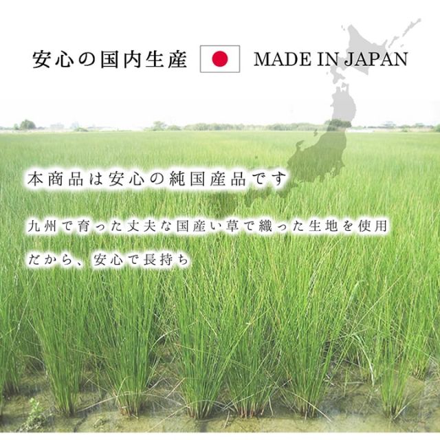 ラグ 純国産 国産 日本製 い草 抗菌防臭 自然素材 モダン 『DXカラフルブロック』 約191×191cm