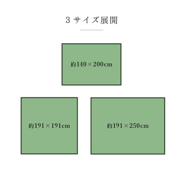 ラグ 純国産 国産 日本製 い草 抗菌防臭 自然素材 モダン 『DXカラフルブロック』 約191×250cm