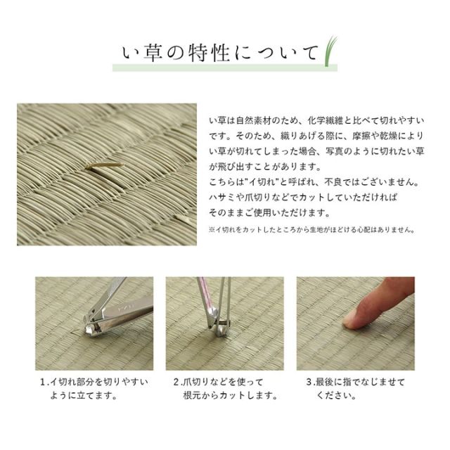 ラグ 純国産 国産 日本製 い草 抗菌防臭 自然素材 モダン 『DXカラフルブロック』 約191×250cm
