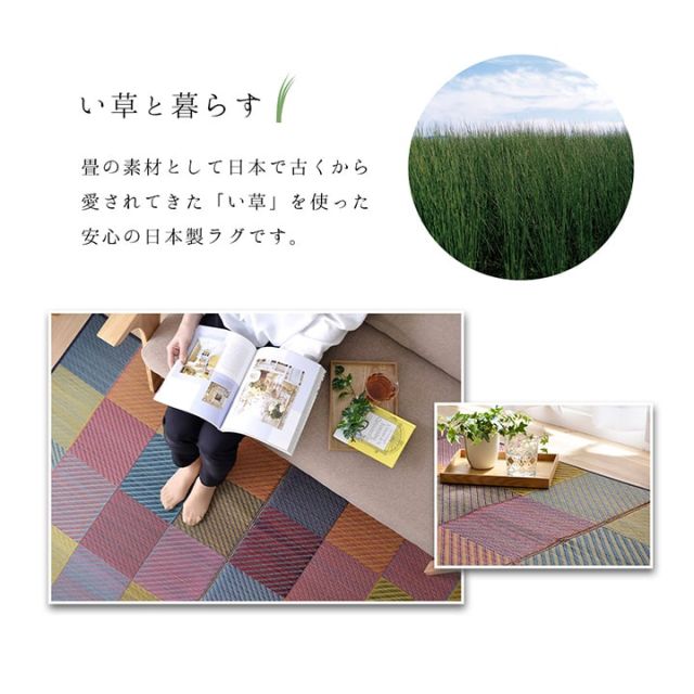 ラグ 純国産 国産 日本製 い草 抗菌防臭 自然素材 モダン 『DXカラフルブロック』 約191×250cm
