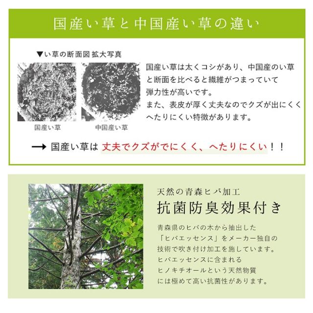 ラグ 純国産 国産 日本製 い草 抗菌防臭 自然素材 モダン 『DXカラフルブロック』 約191×250cm