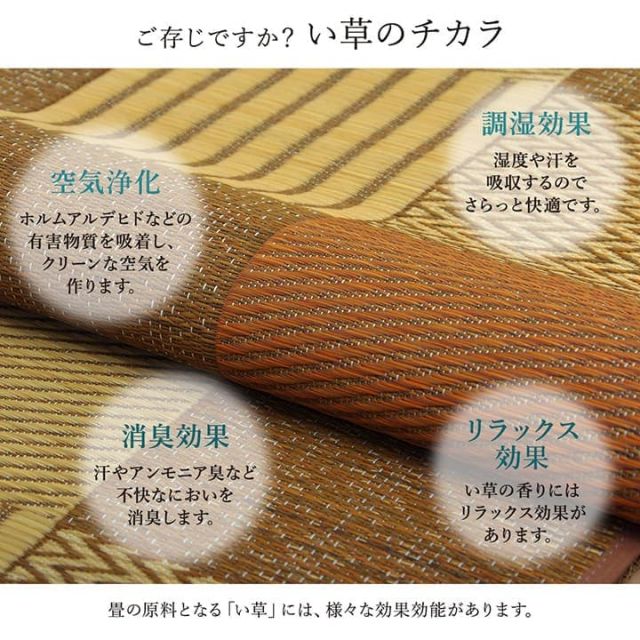 敷物 花ござ 国産 純国産 日本製 い草 モダン 抗菌防臭 自然素材 パッチワーク 不織布 江戸間1畳 約87×174cm