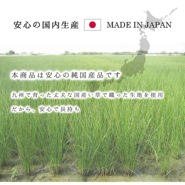 ラグ 正方形 夏用 ふっくら い草 シンプル 191×191cm