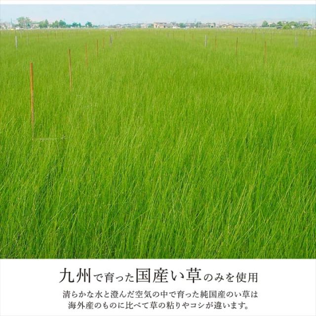 ラグ 正方形 国産 日本製 ナチュラルスタイル い草 消臭 抗菌防臭 滑り止め 防炎 市松 約191×191cm