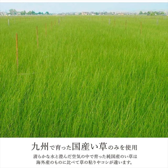カーペット ござ 日本製 国産 敷詰 ラグ 敷物 ナチュラルスタイル い草 消臭 抗菌防臭 滑り止め 防炎 市松 江戸間2畳（約174×174cm）