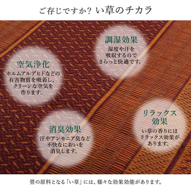 廊下 敷 敷き 国産 純国産 日本製 い草 抗菌防臭 モダン 自然素材 不織布 約80×240cm