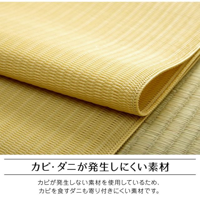 ラグ 洗える 日本製 国産 アウトドア レジャー アウトドア 和室 シンプル 江戸間6畳(約261×352cm)