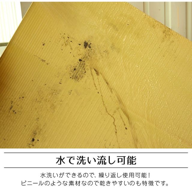 ラグ 洗える 日本製 国産 アウトドア レジャー アウトドア 和室 シンプル 江戸間8畳(約348×352cm)